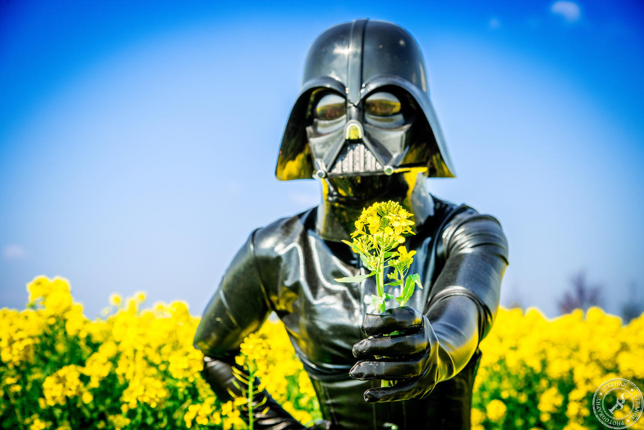Darth Vader Flower