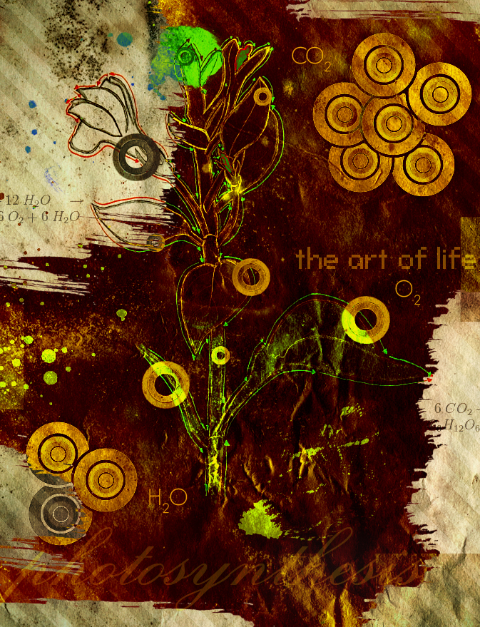 The Art of Life