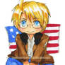 Hetadoodles - USA Bookmark