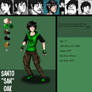 Lucidity character Sheet- San
