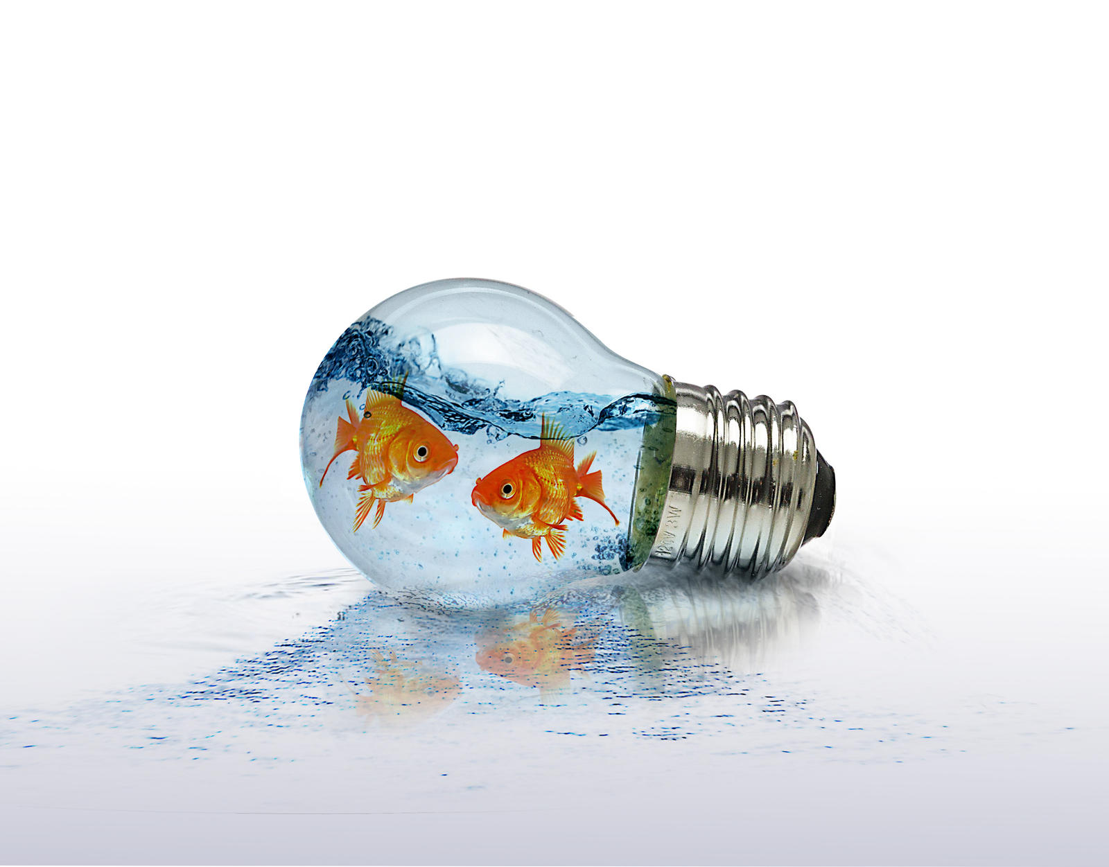 Flash Fish by doppiaemmeemme on DeviantArt