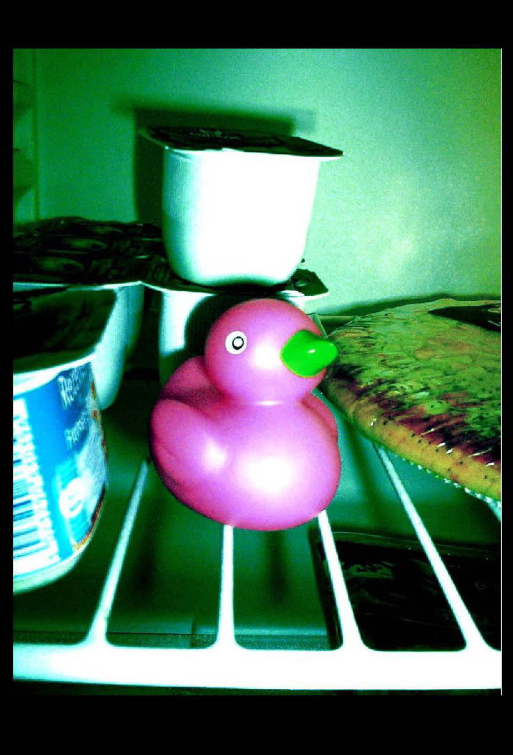 Duck in the fridge - by moonstarmonkey on DeviantArt