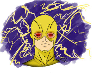 Reverse Flash bust 