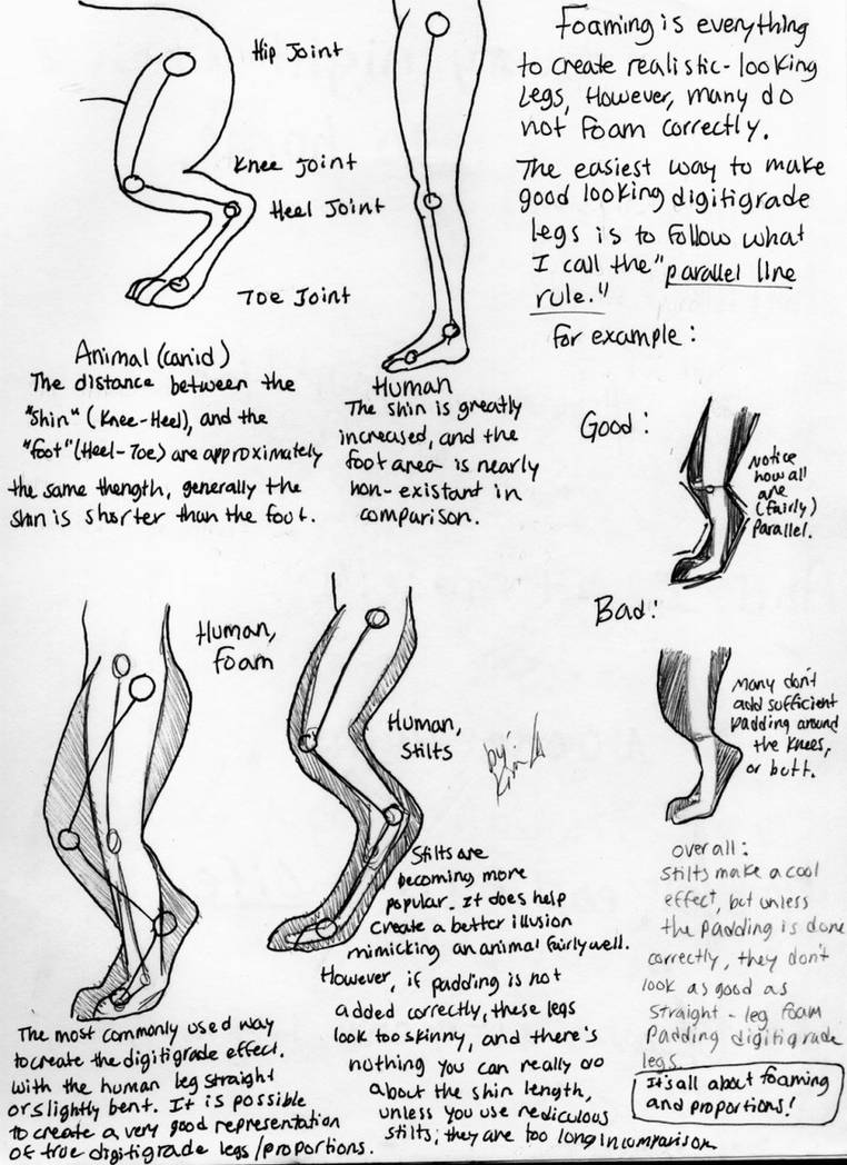 Digitigrade study (in fursuits) by 10kk