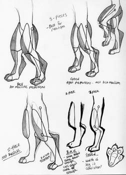 Digitigrade leg foaming study (in fursuits)