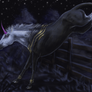 Junicorn 2021: 14 Freedom