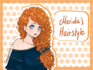 Merida's Hairstyle