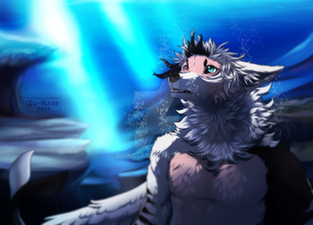 [com] Light under the sea