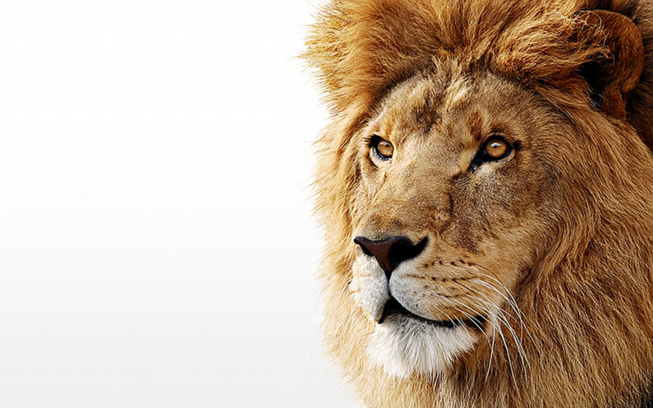 Mac OS X Lion