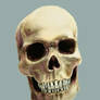 Skull Revision