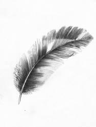 feather