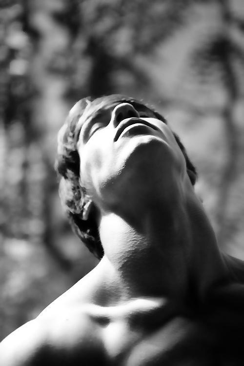 Powerful Neck by Musclelicker on DeviantArt