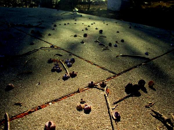 Benicia Cemetery 9 07