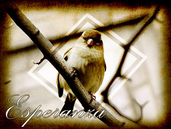 Wallpaper_Esperanza by carymonteiro on DeviantArt