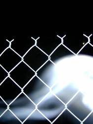 Wire Fence