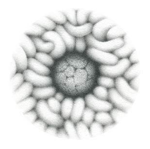 Biofiltration