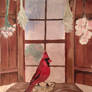 A Redbird Christmas