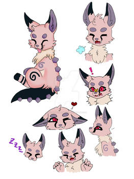 Cobalto Expressions