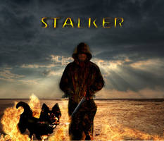 STALKER-The Dark