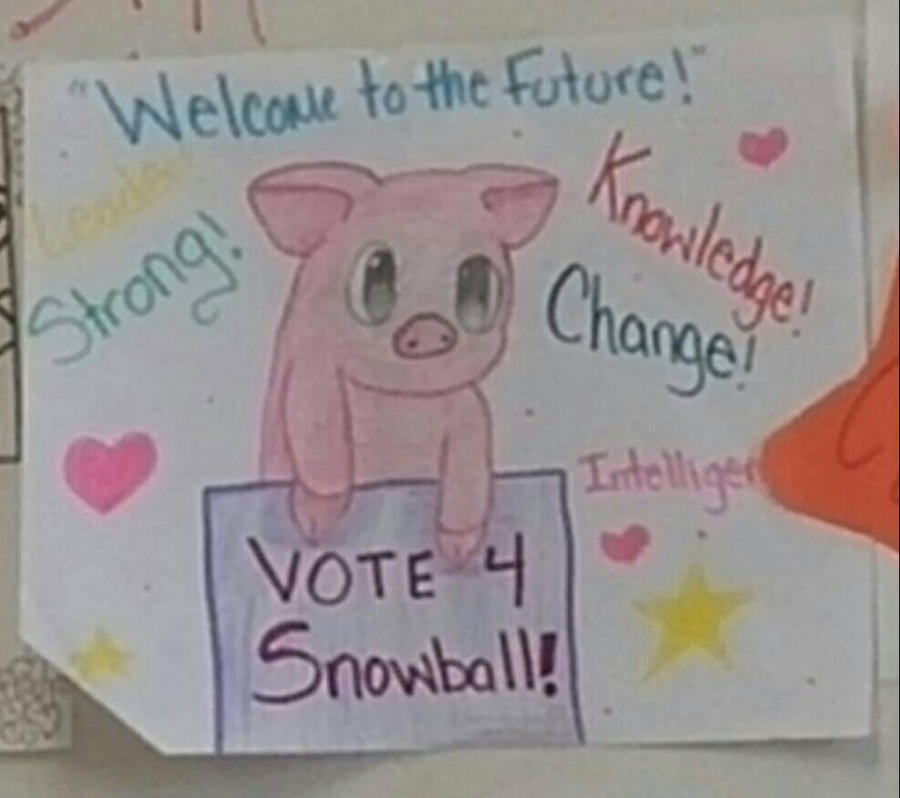 VOTE FOR SNOWBALL