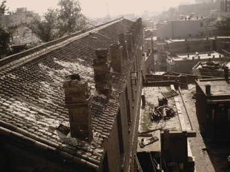 Crawling on rooftops