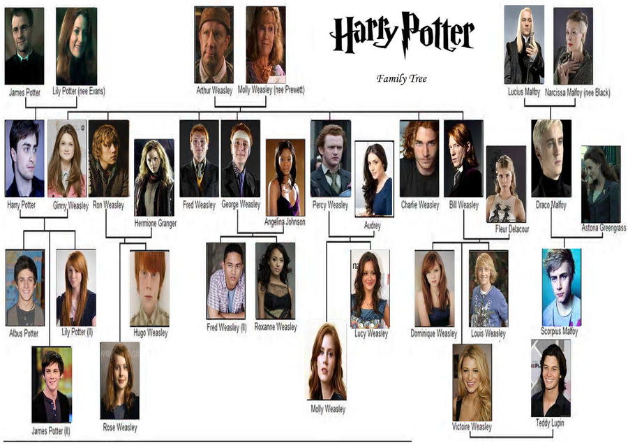 Harry Potter Family Tree by MooyongRocks on DeviantArt