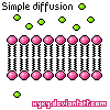 Simple diffusion by hyky on DeviantArt