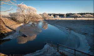 Cold Winter Days by Vitskog