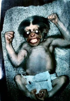 Photo Shopped Monkey