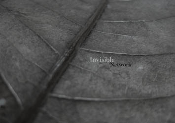 Invisible Network.