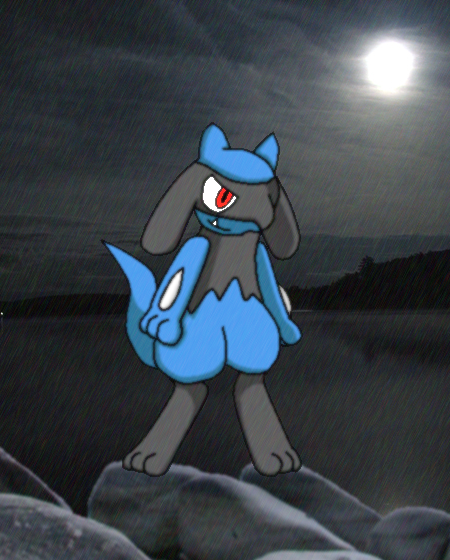 Riolu in the Rain