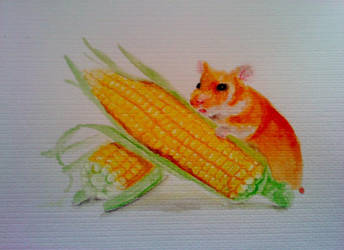 Rodent Corn