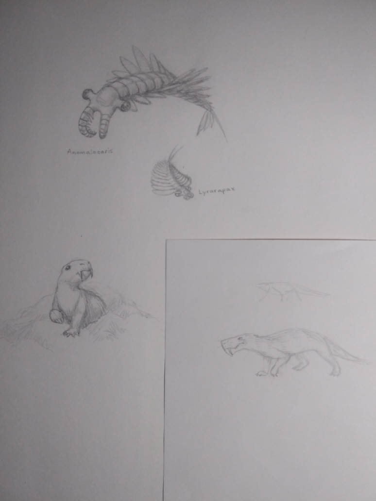 Extinct Drawing Practice by anagram-warden on DeviantArt
