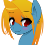 Blue Poni