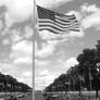 Flag and Sky II