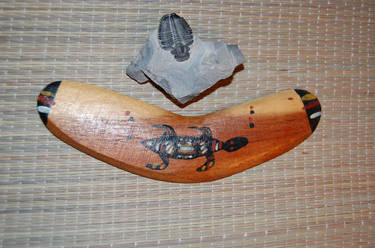 Fossil and Boomerang