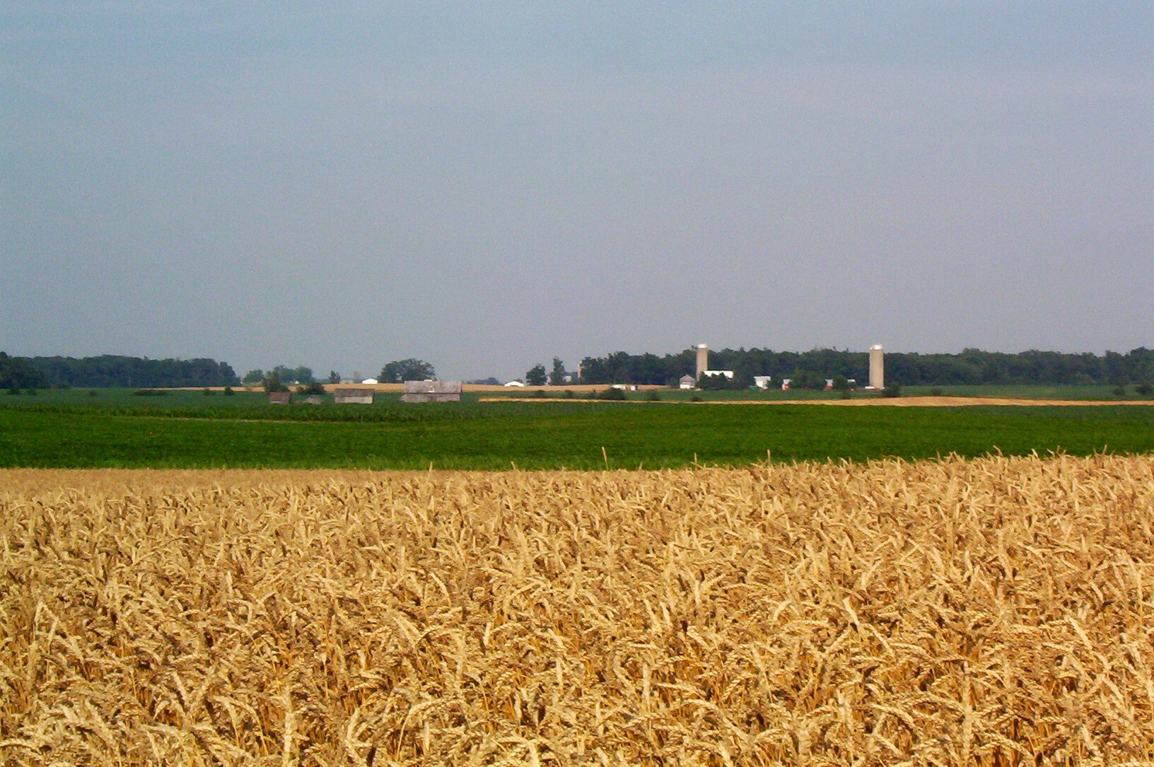 Farmland