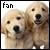 Two Doggies