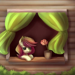 Roseluck