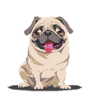 Pug