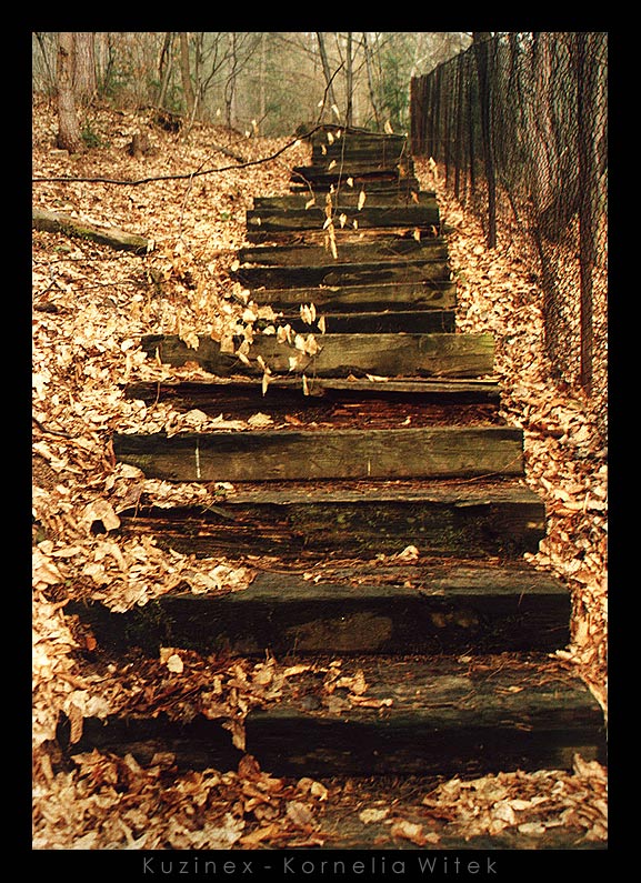 the old stairs