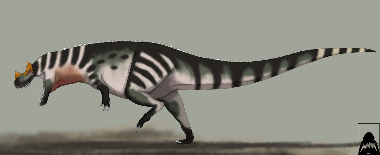 Ceratosaurus nasicornis by Dastardly-Sharkzz on DeviantArt