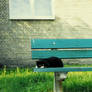 bench.2