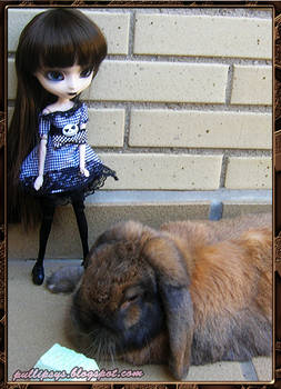 Pullip Noir