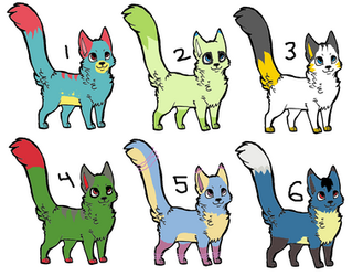 Pokemon based cat adopts 2