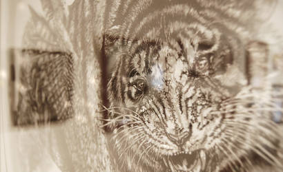 papercutting:tiger