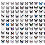 paper cutting: 100butterflies