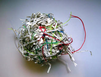 shredded paper sculpture