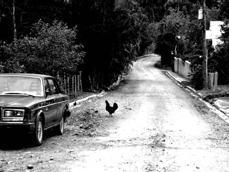 Crossing the road