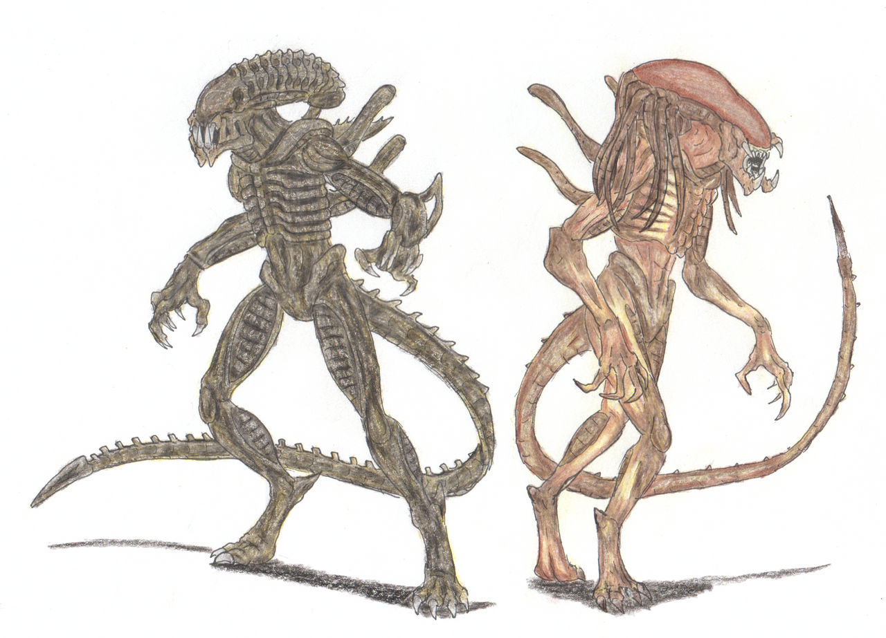 Alien Vs Predator Predalien